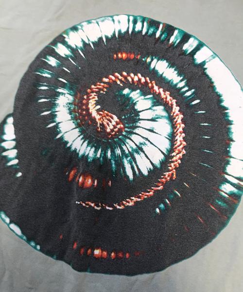 バンドTシャツ（バンドTシャツ）バンドTシャツ (バンドTシャツ) 90s Nine Inch Nails(ナインインチネイルズ) バンドTシャツ グリーン サイズ:XLの古着・服飾アイテム