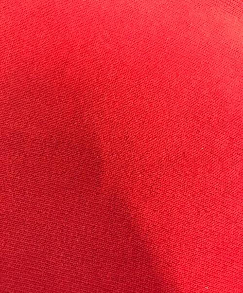 Champion（チャンピオン）Champion (チャンピオン) リバースウィーブスウェット レッド サイズ:X‐LARGEの古着・服飾アイテム