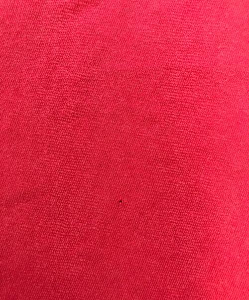 stussy（ステューシー）stussy (ステューシー) プリントTシャツ レッド サイズ:Mediumの古着・服飾アイテム