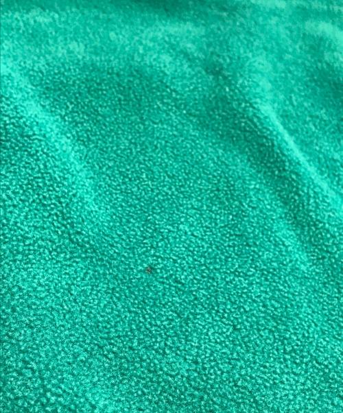 Patagonia（パタゴニア）Patagonia (パタゴニア) シンチラスナップT グリーン サイズ:Lの古着・服飾アイテム