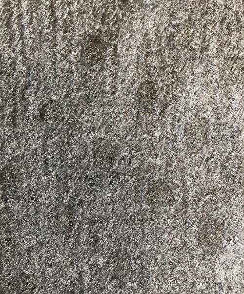 tricot COMME des GARCONS（トリココムデギャルソン）tricot COMME des GARCONS (トリココムデギャルソン) ドット柄ウール縮絨パンツ ブラック サイズ:表記なしの古着・服飾アイテム