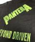 中古・古着 バンドTシャツ (バンドTシャツ) 90s PANTERA(パンテラ) バンドTシャツ ブラック サイズ:L：18000円