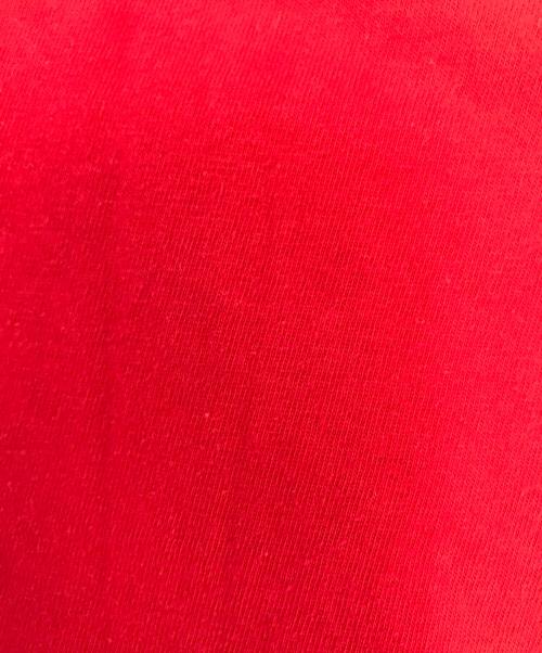 FUCT（ファクト）FUCT (ファクト) プリントTシャツ レッド サイズ:Lの古着・服飾アイテム