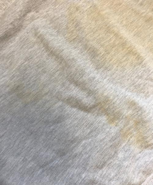 Champion（チャンピオン）Champion (チャンピオン) リバースウィーブパーカー グレー サイズ:LARGEの古着・服飾アイテム