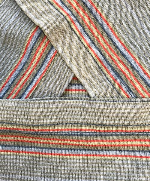 VANS（ヴァンズ）VANS (ヴァンズ) マルチボーダーTシャツ パープル サイズ:Mの古着・服飾アイテム