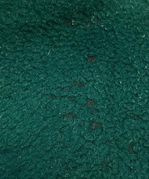 THE NORTH FACE（ザ ノース フェイス）THE NORTH FACE (ザ ノース フェイス) RAGEフリースジャケット ブラウン サイズ:Lの古着・服飾アイテム