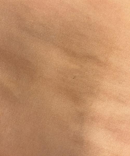 stussy（ステューシー）stussy (ステューシー) 両面プリントスウェット オレンジ サイズ:Ｌの古着・服飾アイテム