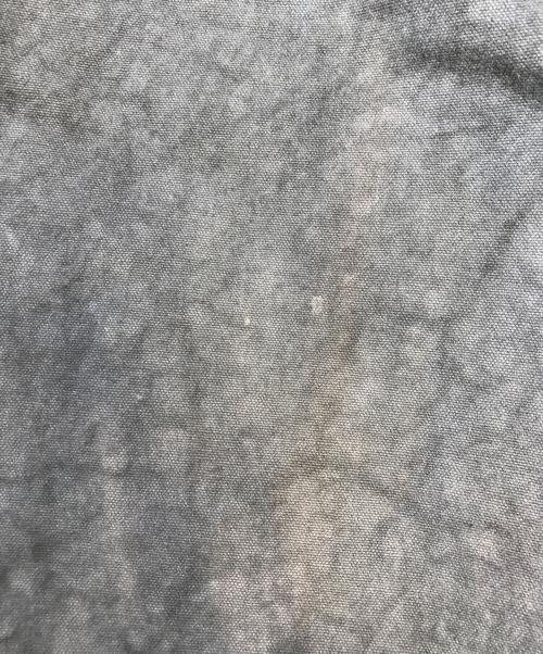 stussy（ステューシー）stussy (ステューシー) CANVAS VOLUME PLEATED TROUSER ブルー サイズ:28の古着・服飾アイテム