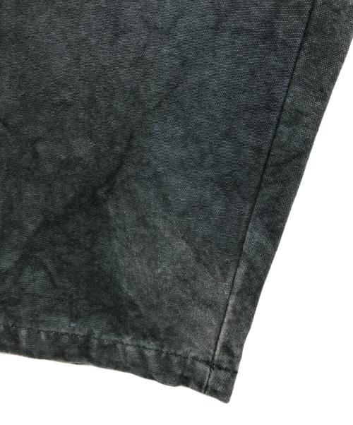 stussy（ステューシー）stussy (ステューシー) CANVAS VOLUME PLEATED TROUSER ブルー サイズ:28の古着・服飾アイテム