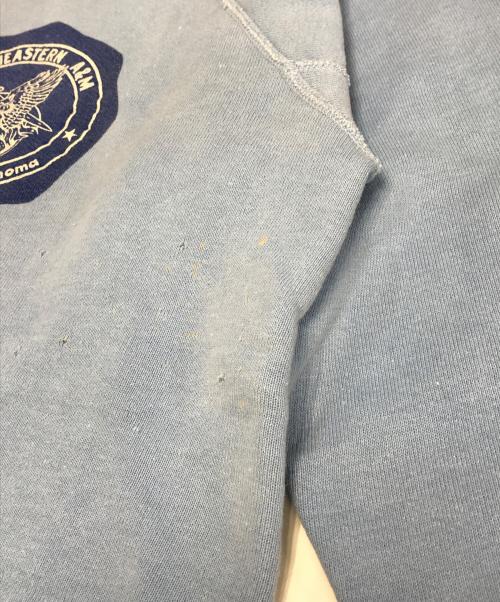 ArteX（アルテックス）ArteX (アルテックス) フロッキープリントラグランスウェット スカイブルー サイズ:Mの古着・服飾アイテム