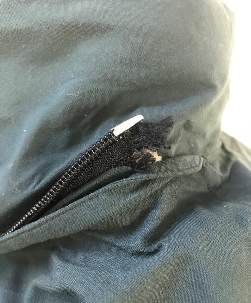 Eddie Bauer（エディーバウアー）Eddie Bauer (エディーバウアー) グースダウンジャケット グリーン サイズ:XLの古着・服飾アイテム