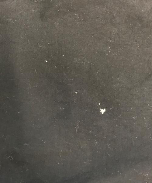 C.P COMPANY（シーピーカンパニー）C.P COMPANY (シーピーカンパニー) Flatt Nylon Goggle Jacket ネイビー サイズ:L 未使用品の古着・服飾アイテム