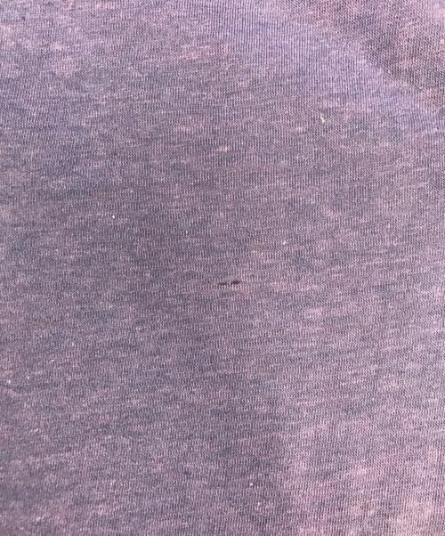 Champion（チャンピオン）Champion (チャンピオン) 70sダブルフェイスTシャツ パープル×イエロー サイズ:Lの古着・服飾アイテム