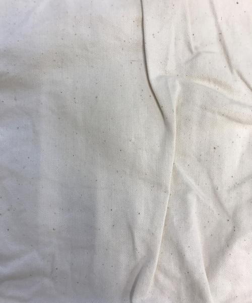 Carter's（カーターズ）Carter's (カーターズ) ペインターパンツ アイボリー サイズ:36 TALLの古着・服飾アイテム