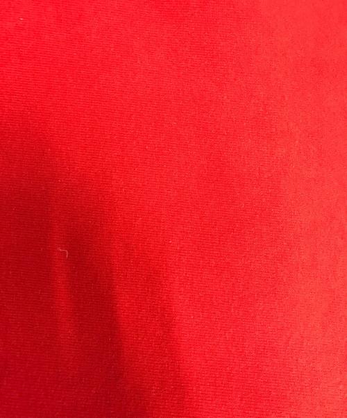Champion（チャンピオン）Champion (チャンピオン) リバースウィーブスウェット レッド サイズ:XX‐LARGEの古着・服飾アイテム