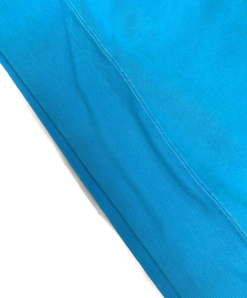 Champion（チャンピオン）Champion (チャンピオン) リバースウィーブスウェット スカイブルー サイズ:XX‐LARGEの古着・服飾アイテム