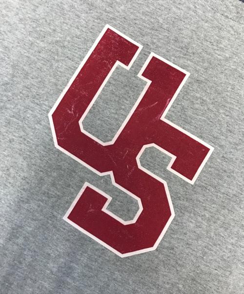 stussy（ステューシー）stussy (ステューシー) Tシャツ グレー サイズ:LARGEの古着・服飾アイテム