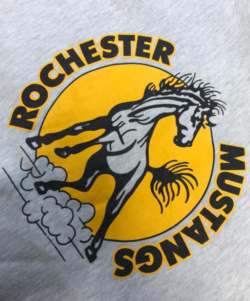 Champion（チャンピオン）Champion (チャンピオン) リバースウィーブスウェット グレー サイズ:XX‐LARGEの古着・服飾アイテム