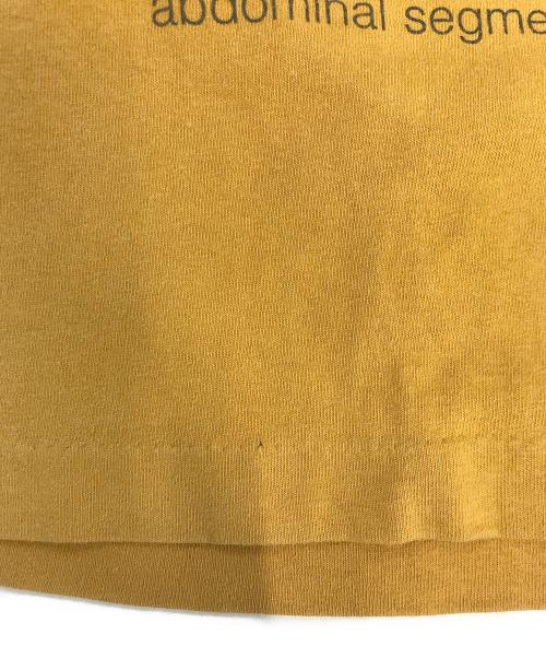 バンドTシャツ（バンドTシャツ）バンドTシャツ (バンドTシャツ) 90's the flaming lips(ザ・フレーミング・リップス) バンドTシャツ イエロー サイズ:XLの古着・服飾アイテム