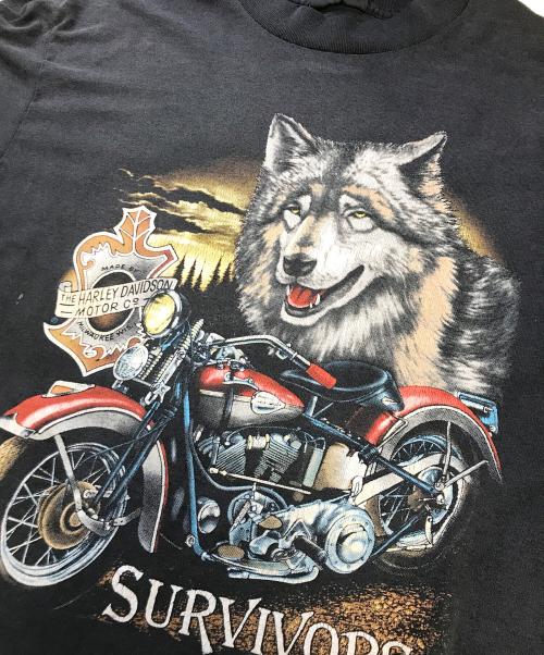 HARLEY-DAVIDSON（ハーレーダビッドソン）HARLEY-DAVIDSON (ハーレーダビッドソン) 90s HARLEY-DAVIDSON(ハーレーダビットソン) モーターTシャツ ブラック サイズ:Lの古着・服飾アイテム