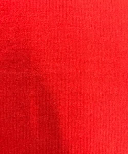 COMME des GARCONS（コムデギャルソン）COMME des GARCONS (コムデギャルソン) ロングスリーブカットソー レッド サイズ:表記なしの古着・服飾アイテム