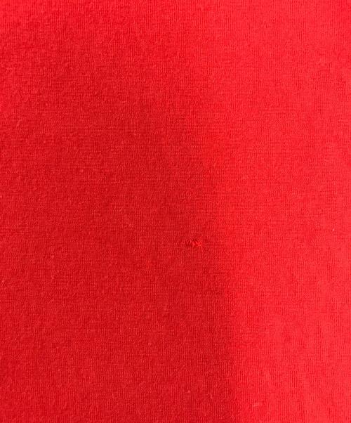 COMME des GARCONS（コムデギャルソン）COMME des GARCONS (コムデギャルソン) ロングスリーブカットソー レッド サイズ:表記なしの古着・服飾アイテム