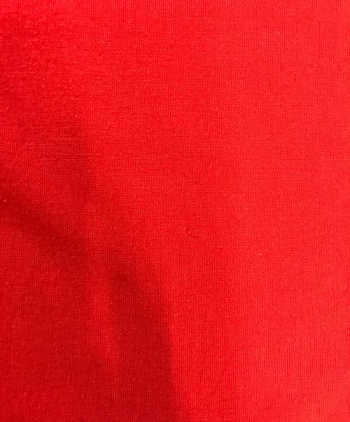 COMME des GARCONS（コムデギャルソン）COMME des GARCONS (コムデギャルソン) ロングスリーブカットソー レッド サイズ:表記なしの古着・服飾アイテム