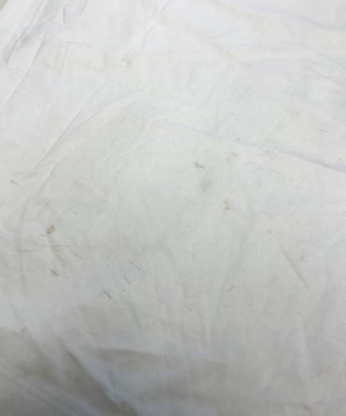 BURBERRY LONDON（バーバリーロンドン）BURBERRY LONDON (バーバリーロンドン) ネックトリム ノバチェック ロゴTシャツ ホワイト サイズ:Mの古着・服飾アイテム