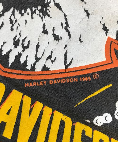 モーターサイクルTシャツ（モーターサイクルTシャツ）モーターサイクルTシャツ (モーターサイクルTシャツ) 80s HARLEY-DAVIDSON(ハーレーダビッドソン) モーターサイクルTシャツ ブラック サイズ:Lの古着・服飾アイテム