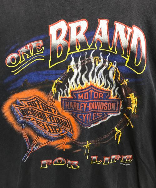 HARLEY-DAVIDSON（ハーレーダビッドソン）HARLEY-DAVIDSON (ハーレーダビッドソン) HARLEY-DAVIDSON(ハーレーダビッドソン)モーターサイクルTシャツ ブラック サイズ:Lの古着・服飾アイテム