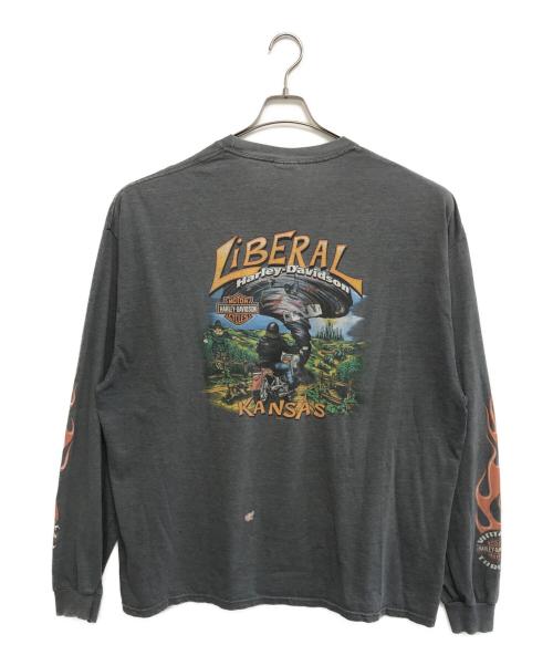 ロングスリーブモーターサイクルTシャツ（ロングスリーブモーターサイクルTシャツ）ロングスリーブモーターサイクルTシャツ (ロングスリーブモーターサイクルTシャツ) 10s HARLEY-DAVIDSON(ハーレーダビッドソン) ロングスリーブモーターサイクルTシャツ グレー サイズ:3XLの古着・服飾アイテム