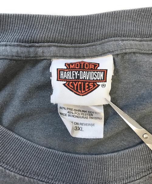 ロングスリーブモーターサイクルTシャツ（ロングスリーブモーターサイクルTシャツ）ロングスリーブモーターサイクルTシャツ (ロングスリーブモーターサイクルTシャツ) 10s HARLEY-DAVIDSON(ハーレーダビッドソン) ロングスリーブモーターサイクルTシャツ グレー サイズ:3XLの古着・服飾アイテム