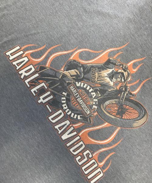 ロングスリーブモーターサイクルTシャツ（ロングスリーブモーターサイクルTシャツ）ロングスリーブモーターサイクルTシャツ (ロングスリーブモーターサイクルTシャツ) 10s HARLEY-DAVIDSON(ハーレーダビッドソン) ロングスリーブモーターサイクルTシャツ グレー サイズ:3XLの古着・服飾アイテム