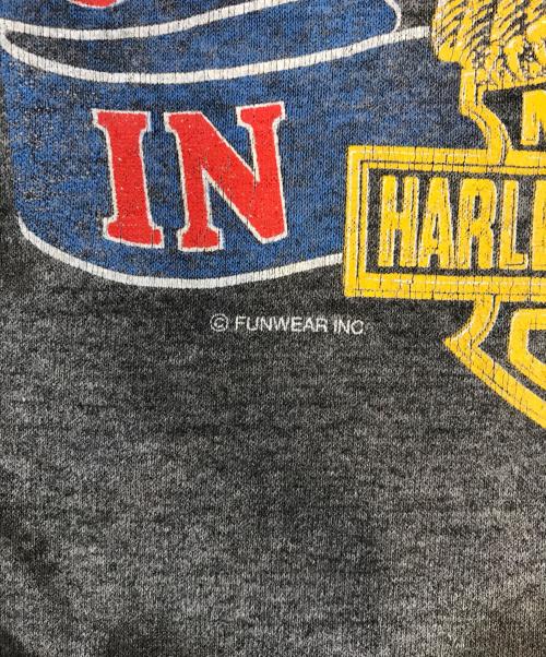 モーターサイクルTシャツ（モーターサイクルTシャツ）モーターサイクルTシャツ (モーターサイクルTシャツ) HARLEY-DAVIDSON(ハーレーダビッドソン) モーターサイクルTシャツ ブラック サイズ:Lの古着・服飾アイテム