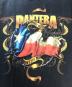 中古・古着 FRUIT OF THE LOOM (フルーツオブザルーム) 00s PANTERA(パンテラ)バンドTシャツ ブラック サイズ:S：13000円