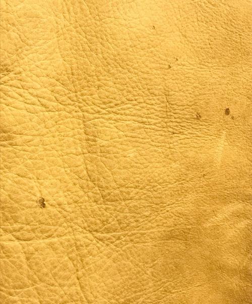 JANSHA TANNING CO.（ジャンシャ タニング コー）JANSHA TANNING CO. (ジャンシャ タニング コー) ディアスキンレザージャケット イエロー サイズ:表記なしの古着・服飾アイテム