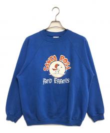 キャラクタースウェット（キャラクタースウェット）の古着「90s PEANUTS(ピーナッツ) キャラクタースウェット」｜ブルー