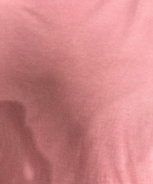 GUCCI（グッチ）GUCCI (グッチ) Tシャツ ピンク サイズ:XSの古着・服飾アイテム