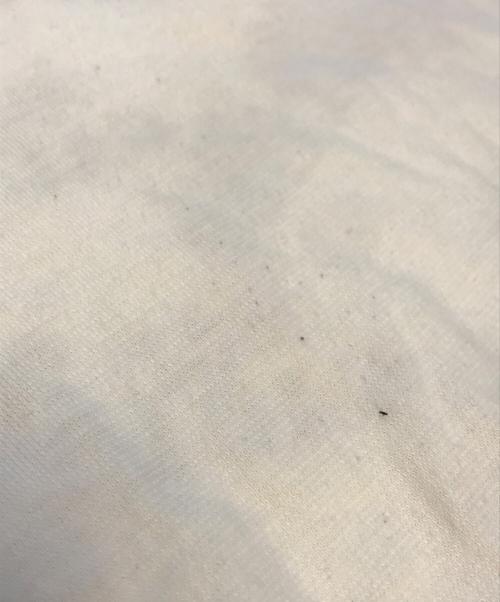 Jean Paul GAULTIER（ジャンポールゴルチェ）Jean Paul GAULTIER (ジャンポールゴルチェ) ロゴプリントTシャツ ホワイト サイズ:Lの古着・服飾アイテム