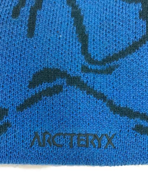 ARC'TERYX（アークテリクス）ARC'TERYX (アークテリクス) キャップ ブルー サイズ:表記なしの古着・服飾アイテム