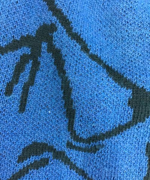 ARC'TERYX（アークテリクス）ARC'TERYX (アークテリクス) キャップ ブルー サイズ:表記なしの古着・服飾アイテム