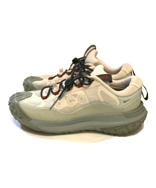 NIKE ACG（ナイキエーシージー）NIKE ACG (ナイキエーシージー) Mountain Fly 2 Low グレー サイズ:US11/UK10/EUR45/cm29/BR43/CN290(2.5)の古着・服飾アイテム