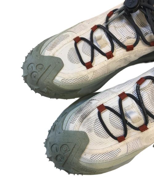 NIKE ACG（ナイキエーシージー）NIKE ACG (ナイキエーシージー) Mountain Fly 2 Low グレー サイズ:US11/UK10/EUR45/cm29/BR43/CN290(2.5)の古着・服飾アイテム