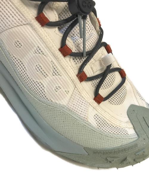 NIKE ACG（ナイキエーシージー）NIKE ACG (ナイキエーシージー) Mountain Fly 2 Low グレー サイズ:US11/UK10/EUR45/cm29/BR43/CN290(2.5)の古着・服飾アイテム
