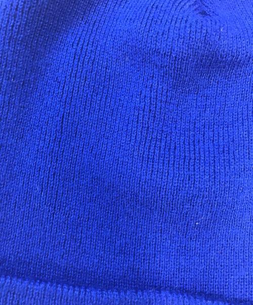 stussy（ステューシー）stussy (ステューシー) ニット帽 ブルー サイズ:表記なしの古着・服飾アイテム
