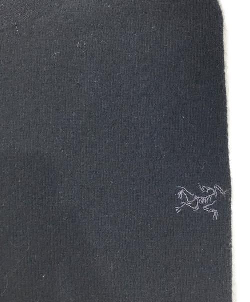 ARC'TERYX（アークテリクス）ARC'TERYX (アークテリクス) ドノバンクルーネックセーター ブラック サイズ:Lの古着・服飾アイテム
