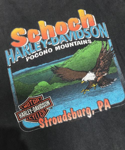 モーターサイクルロングスリーブTシャツ（モーターサイクルロングスリーブTシャツ）モーターサイクルロングスリーブTシャツ (モーターサイクルロングスリーブTシャツ) 90s HARLEY-DAVIDSON(ハーレーダビッドソン) ロングスリーブカットソー ブラック サイズ:Lの古着・服飾アイテム