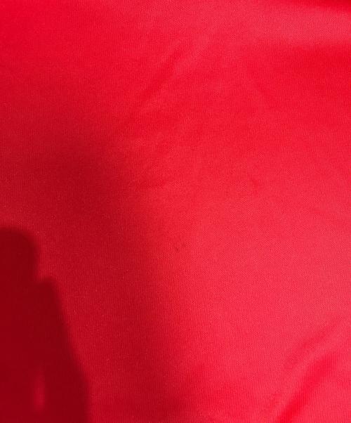 COMME des GARCONS HOMME HOMME（コムデギャルソンオムオム）COMME des GARCONS HOMME HOMME (コムデギャルソンオムオム) 袖ロゴTシャツ レッド サイズ:表記なしの古着・服飾アイテム
