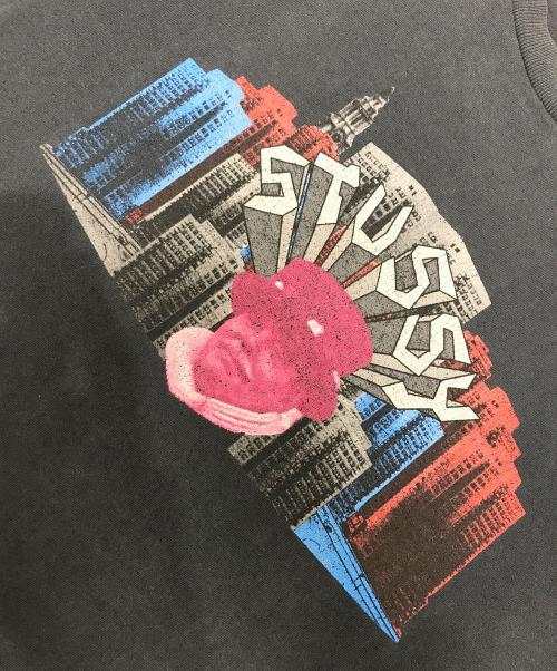 stussy（ステューシー）stussy (ステューシー) プリントTシャツ ブラック サイズ:Largeの古着・服飾アイテム