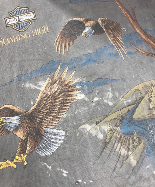 モーターサイクルTシャツ（モーターサイクルTシャツ）モーターサイクルTシャツ (モーターサイクルTシャツ) HARLEY-DAVIDSON(ハーレーダビッドソン) モーターサイクルTシャツ ブラック サイズ:Lの古着・服飾アイテム